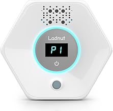 Best Air Purifier For Cat Litter Smell (2026)