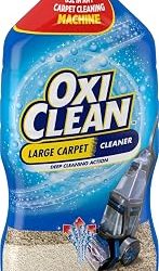 Best Carpet Cleaner Solutions (2026)