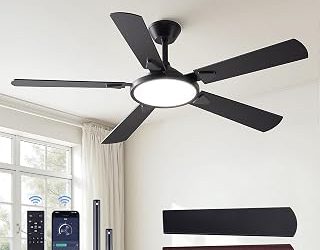 Best Ceiling Fan With Light And Wall Control (2026)