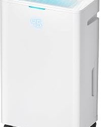 Best Dehumidifier For Basement With Drain Hose (2026)