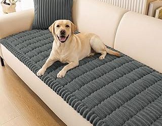 Best Dog Sofa Cover (2026)