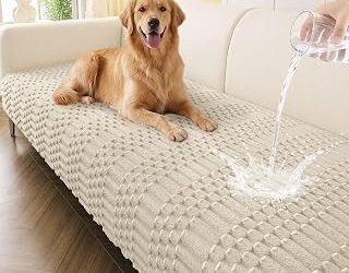 Best Sofa Fabrics For Dogs (2026)