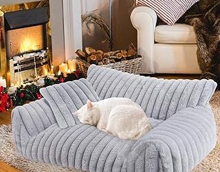 Best Sofa For Cats (2026)
