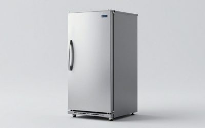 Best Commercial Refrigerators for Restaurants and Food Businesses