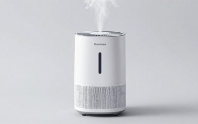 Best Humidifiers for Large Rooms: Models That Reach Every Corner