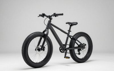 Best Off-Road Electric Fat Tire Bikes for Sand and Snow