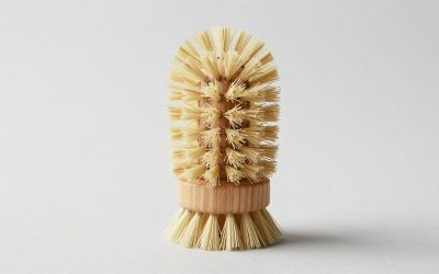 Best Scrub Brush