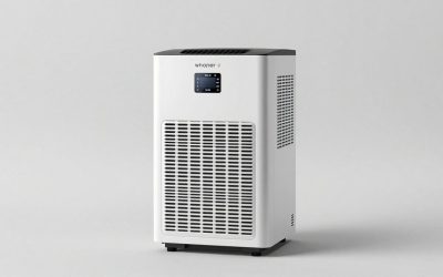 Best Whole House Dehumidifiers for a Drier, More Comfortable Home