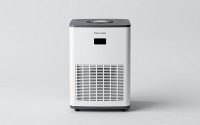 Dehumidifier Maintenance: A Practical Guide to Filters, Coils, Tanks, Drains and Off-Season Storage