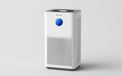 Whole House Air Purifier and Humidifier